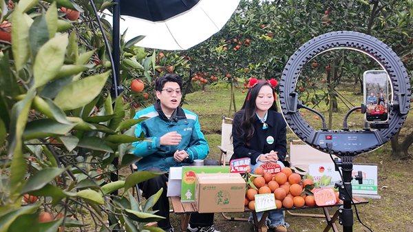 重庆璧山：七塘血橙“出圈”直播带货助农民增收