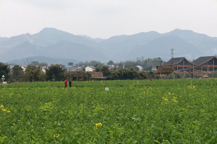 重庆璧山：举办西南精品农文旅投资沙龙 共话乡村振兴新机遇