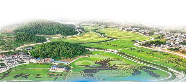 从量的积累向质的跃升转变 丰都 以“新”促“兴”，谱写农业现代化新篇章